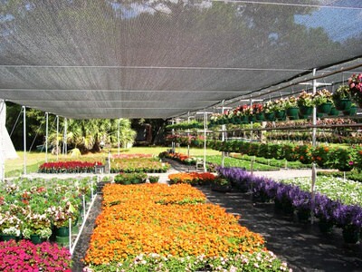 Retail Market Shade Structure